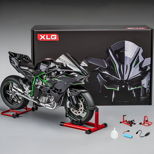 1:6 Ninja H2R
